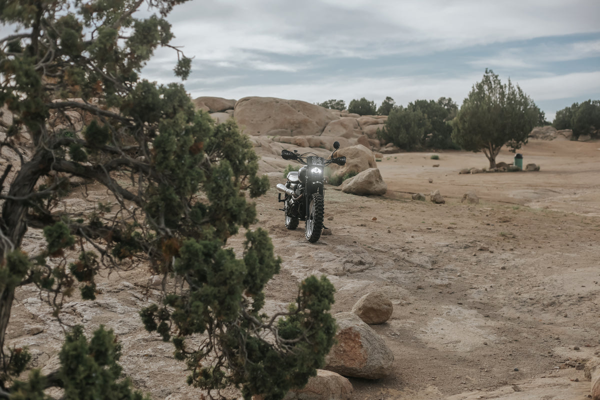2012 Triumph Scrambler Desert Sled