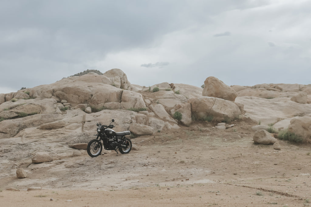 2012 Triumph Scrambler Desert Sled