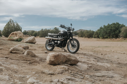 2012 Triumph Scrambler Desert Sled