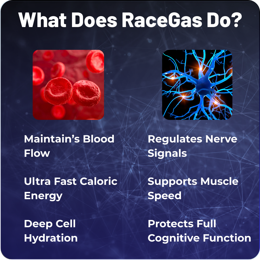 RaceGas Moto Fuel